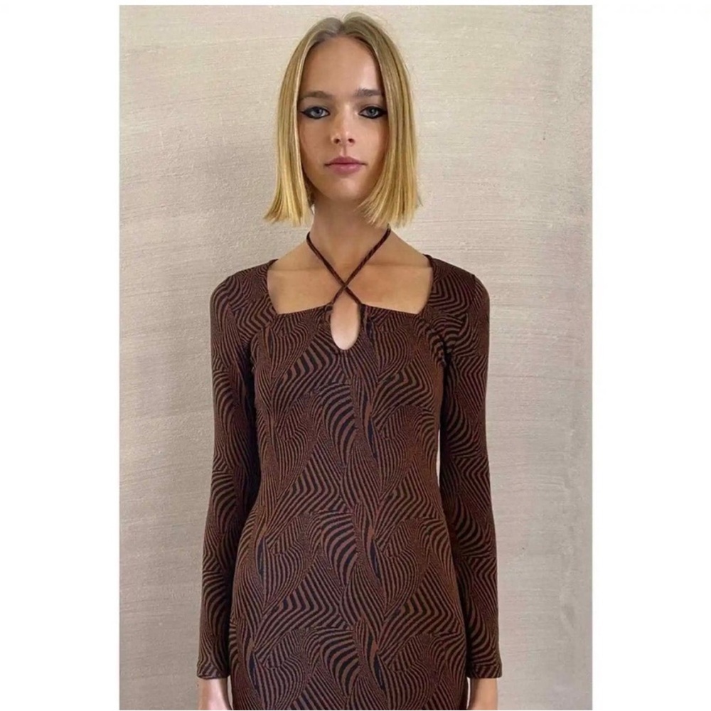 Zara Brown & Black Animal Print Long Sleeve Bodycon Mini Dress Size Small New